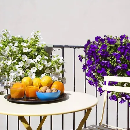 Apartment Bb4u And Terrace *